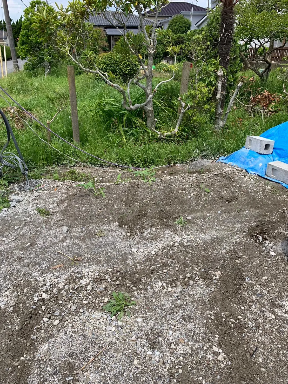 回収後